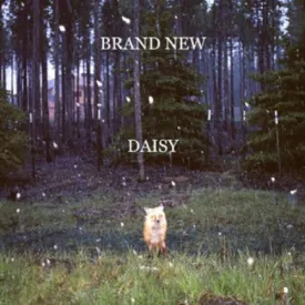 Brand New "Daisy"